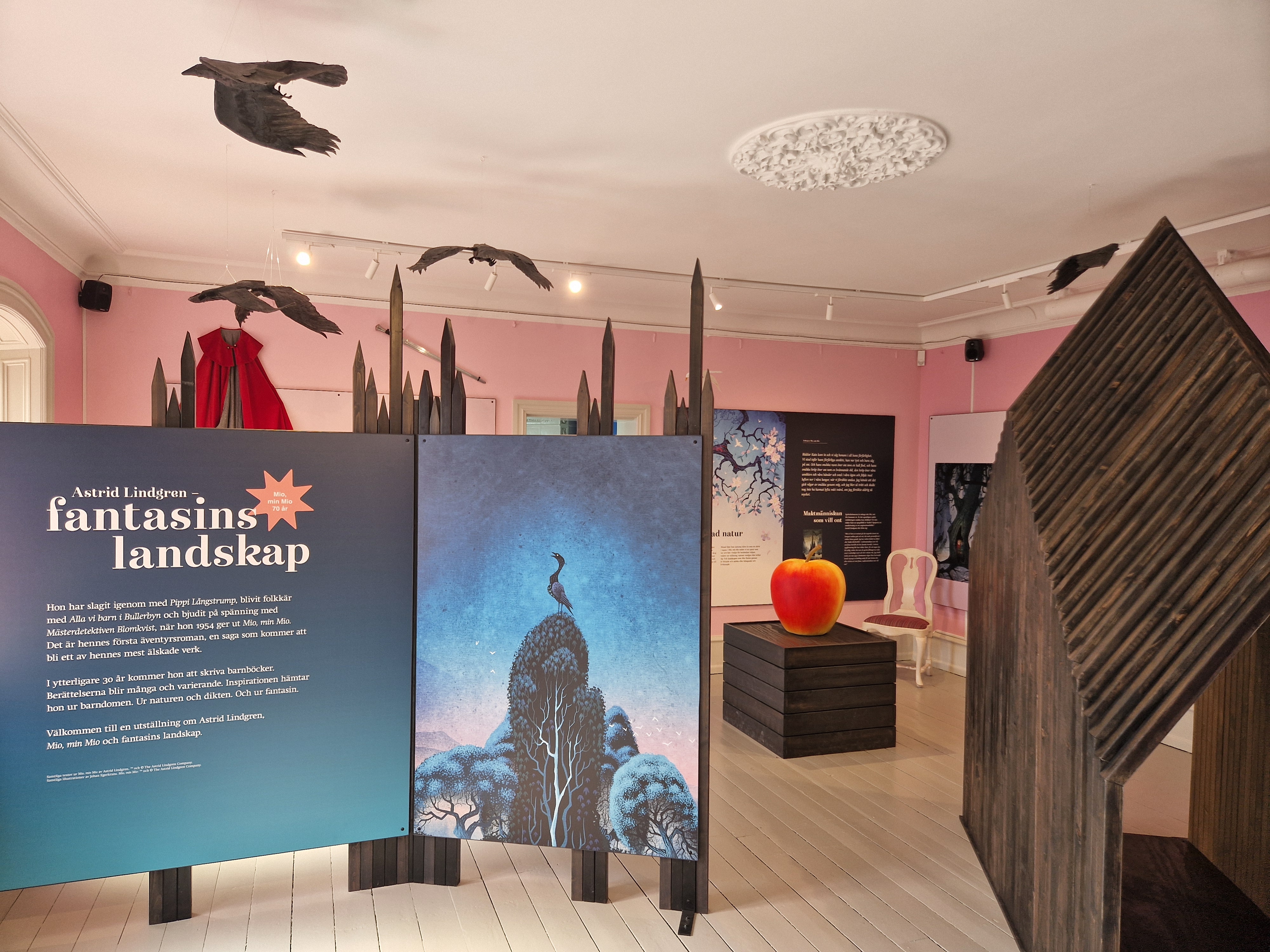 qual-a-fortuna-do-ruyter - Cassinos e iGaming no Brasil